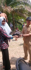 Pemberian bantuan bibit ayam Desa Rantel Tahun 2024